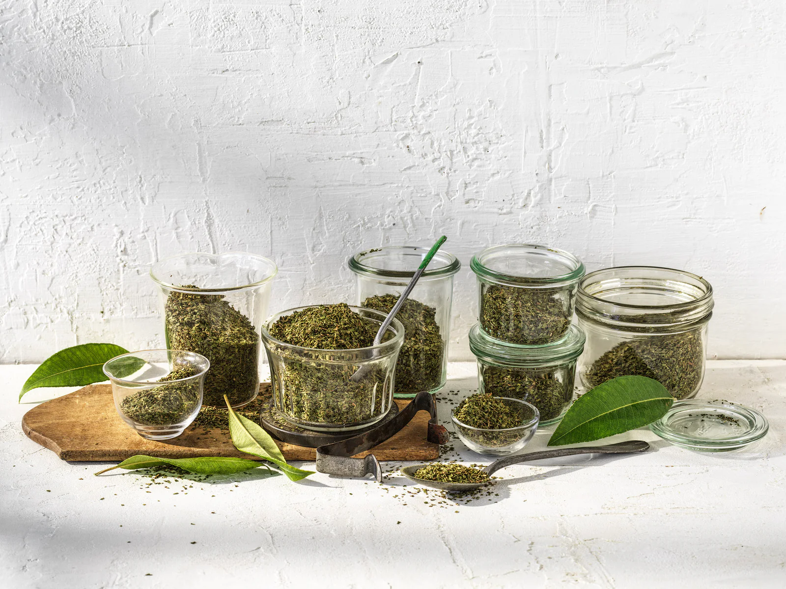 Medium Cut - Conventional Anise Myrtle Dried Leaf